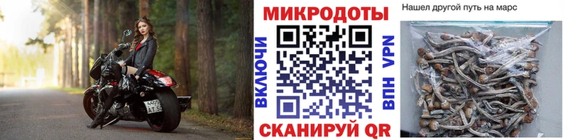 Галлюциногенные грибы Magic Shrooms  Севск 